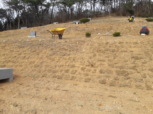 나주잔디 PC 이미지 570582