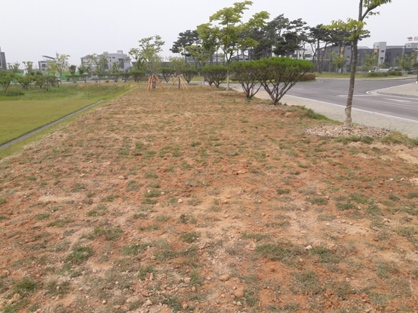 나주잔디 PC 이미지 570598