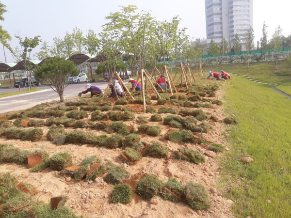 나주잔디 PC 이미지 570599