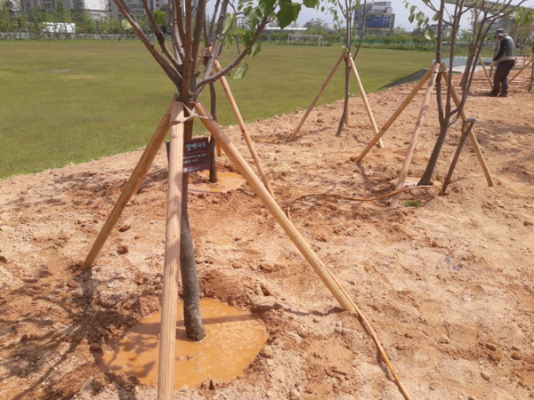 나주잔디 PC 이미지 570585