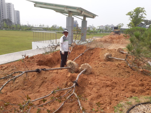 나주잔디 PC 이미지 570586