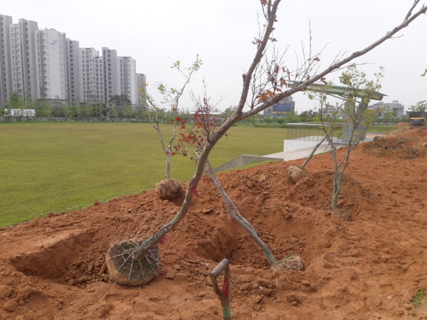 나주잔디 PC 이미지 570587