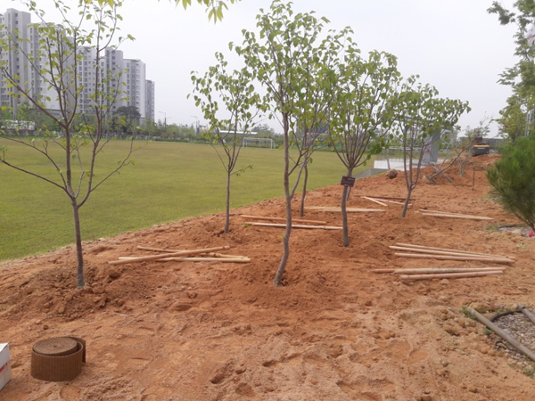 나주잔디 PC 이미지 570588