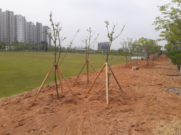 나주잔디 PC 이미지 570589