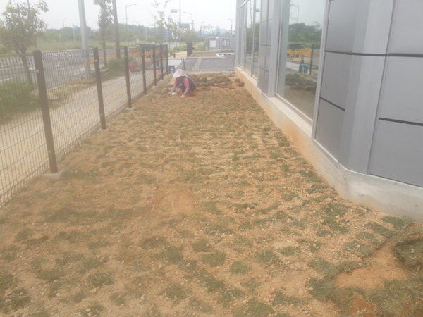 나주잔디 PC 이미지 570590