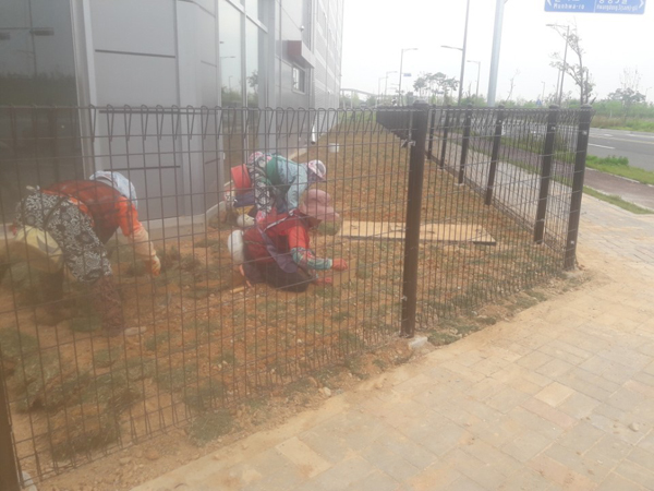 나주잔디 PC 이미지 570591