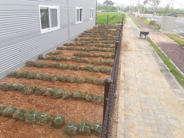 나주잔디 PC 이미지 570595