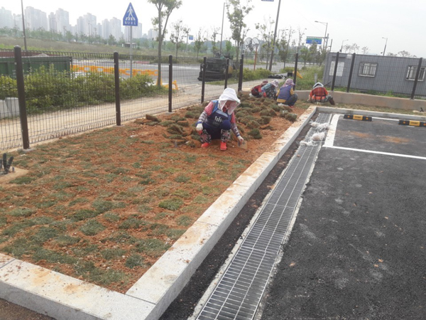 나주잔디 PC 이미지 570597