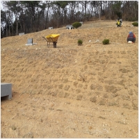 나주잔디 PC 갤러리 8