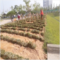 나주잔디 PC 갤러리 10