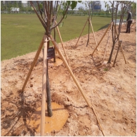 나주잔디 PC 갤러리 5