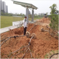 나주잔디 PC 갤러리 4