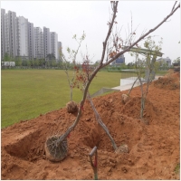 나주잔디 PC 갤러리 3