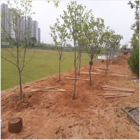 나주잔디 PC 갤러리 2