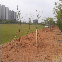 나주잔디 PC 갤러리 1