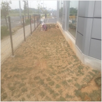 나주잔디 PC 갤러리 0