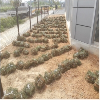 나주잔디 PC 갤러리 17