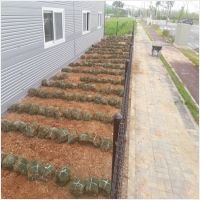 나주잔디 PC 갤러리 15