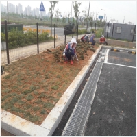 나주잔디 PC 갤러리 13