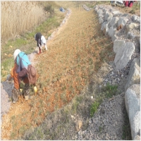 나주잔디 PC 갤러리 7