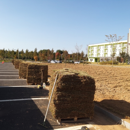 나주잔디 PC 이미지 5210525