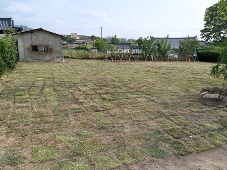 나주잔디 PC 이미지 5210526