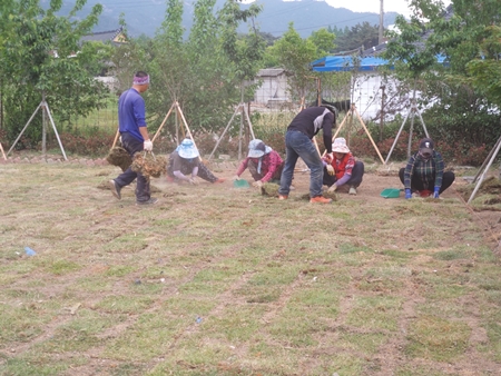 나주잔디 PC 이미지 5210529