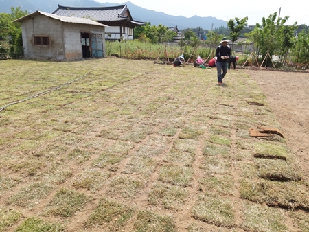 나주잔디 PC 이미지 5210531