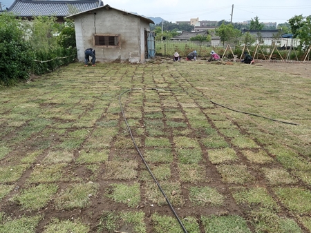 나주잔디 PC 이미지 5210533