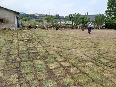 나주잔디 PC 이미지 5210534