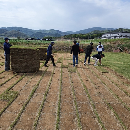 나주잔디 PC 이미지 5210536