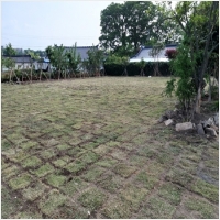 영암잔디-5210528